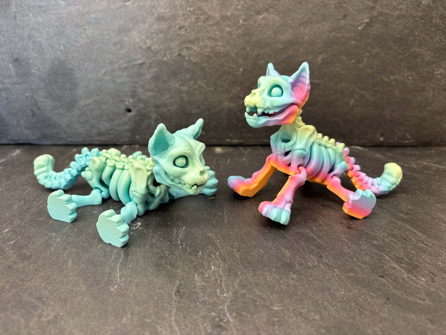 Skelet Kat