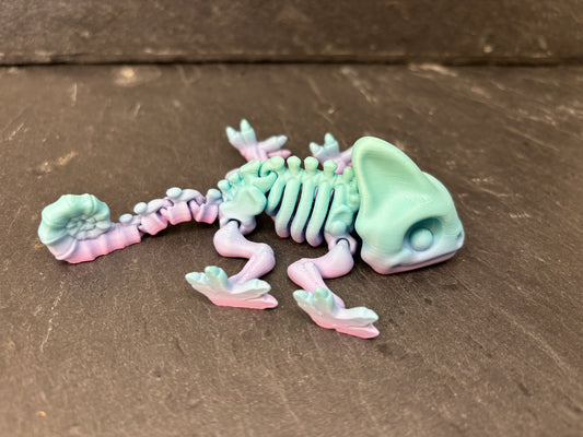 Skeletkamæleonen, Skyggernes Nøgle