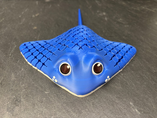 Rokken Ray Flexi